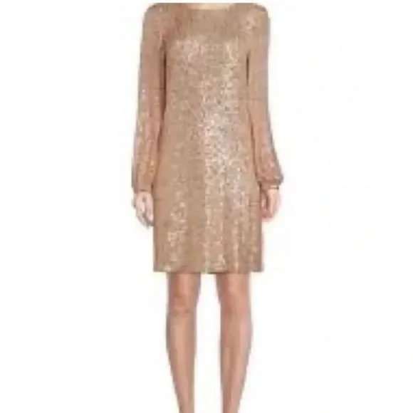 Preston & York Rosa Jewel Neck Long Blouson Sleeve Sequin Dress. Size 8.NWT! - Picture 2 of 12